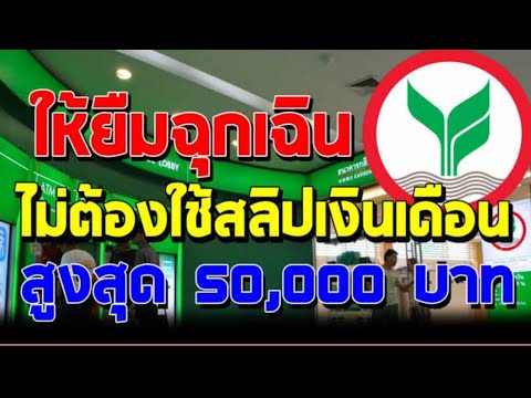 กสิกรไทยให้กู้เงินด่วน ฉุกเฉิน กู้ 50,000 ผ่านมือถือ ไม่ต้องค้ำ ไม่ต้องใช้สลิปเงินเดือน