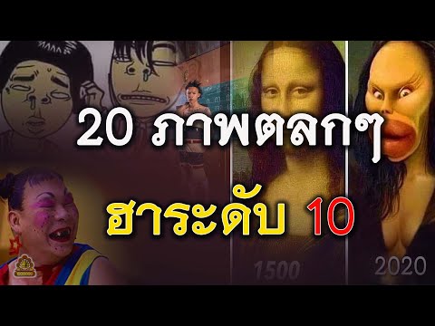 20 ภาพตลกๆ ฮาระดับ 10