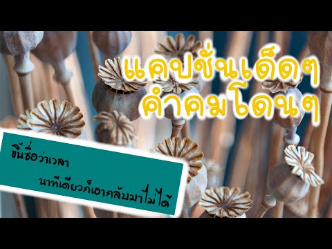 แคปชั่นเด็ดๆ | คำคมโดนๆ