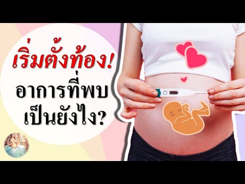 อาการคนท้อง : เริ่มตั้งท้องอ่อนๆ อาการมีอะไรบ้าง ? | อาการตั้งครรภ์อ่อน ๆ | คนท้อง Everything